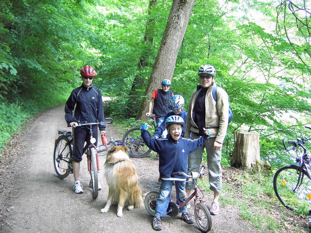 Ferienwohnungen Holder La Plaine Camera foto