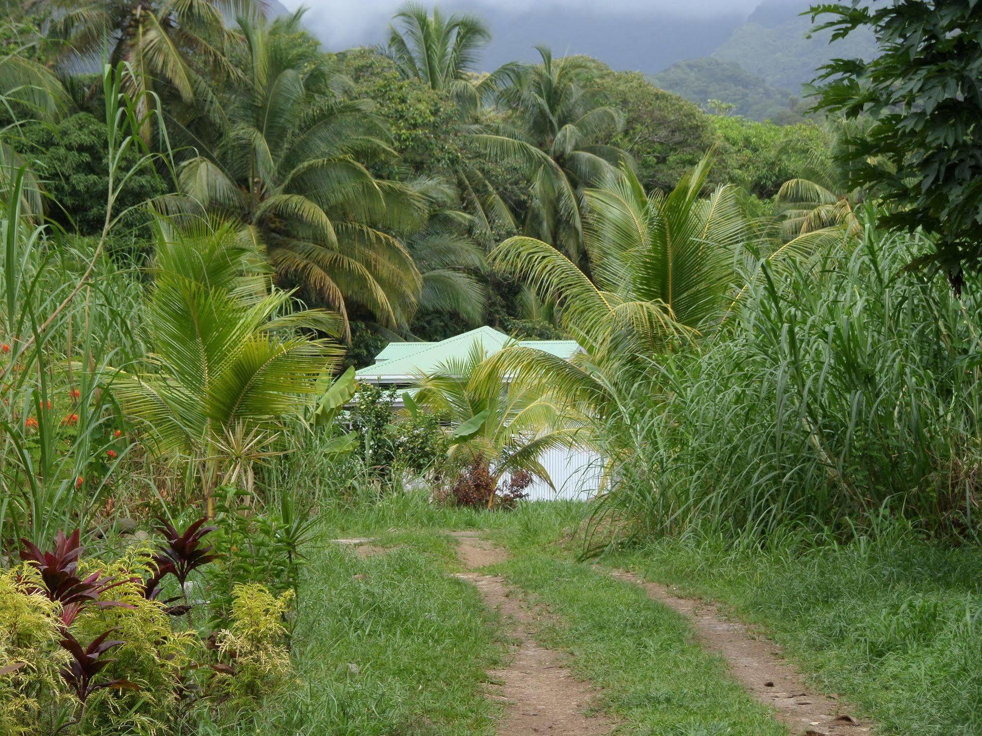 Ferienwohnungen Holder La Plaine Esterno foto